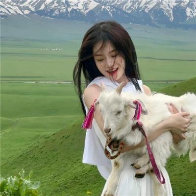 夏普的战斗